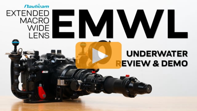 Nauticam EMWL (Extended Macro Wide Lens) | Underwater Photo and Video Review
