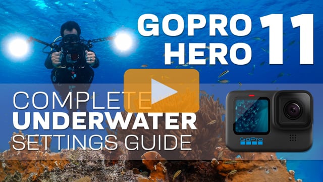 GoPro Hero 11 | Best Underwater Video & Photo Settings - Complete Setup Guide