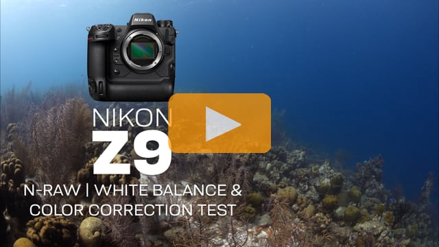 Nikon Z9 | N-RAW White Balance Test