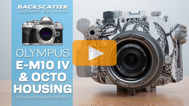 Olympus E-M10 IV and Backscatter Octo Housing | Underwater Camera Review