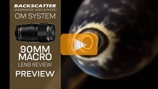 OM System (Olympus) 90mm Macro Lens Underwater Review - Preview