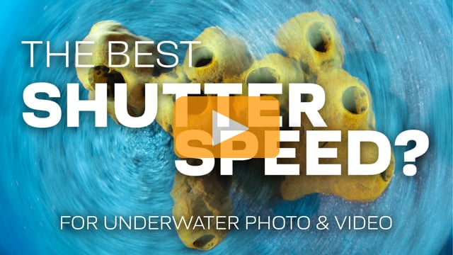 The Best Shutter Speed For Underwater Photography & Videography