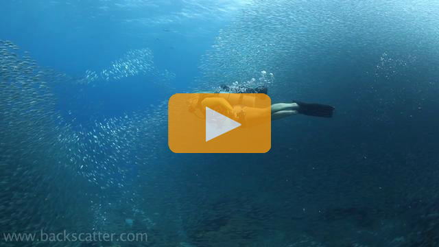 Pegasus Thruster on the Hilma Hooker - Canon 5Dmk II Underwater Video