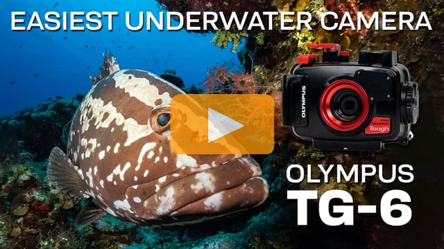 The Easiest Underwater System: Olympus TG-6