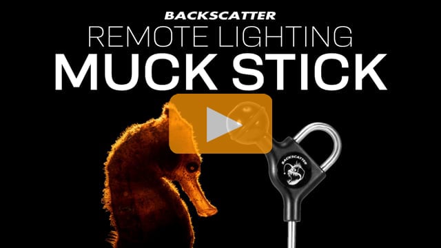 The Backscatter Remote Lighting Muck Stick