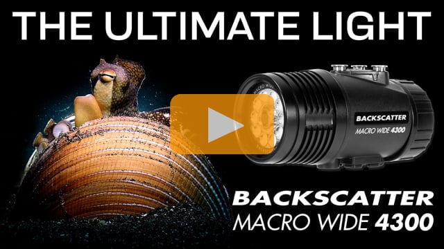 The Ultimate Dive, Photo, and Video Light: Backscatter Macro Wide 4300