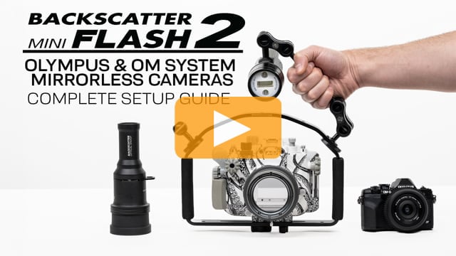 How to use Backscatter Mini Flash 2 with Olympus & OM Systems Mirrorless Cameras | Complete Setup Guide