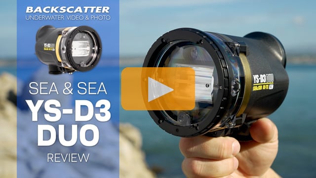 Sea & Sea YS-D3 Duo Strobe Review