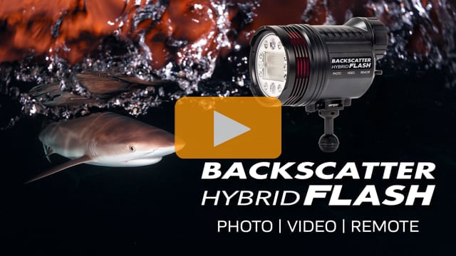 Backscatter Hybrid Flash