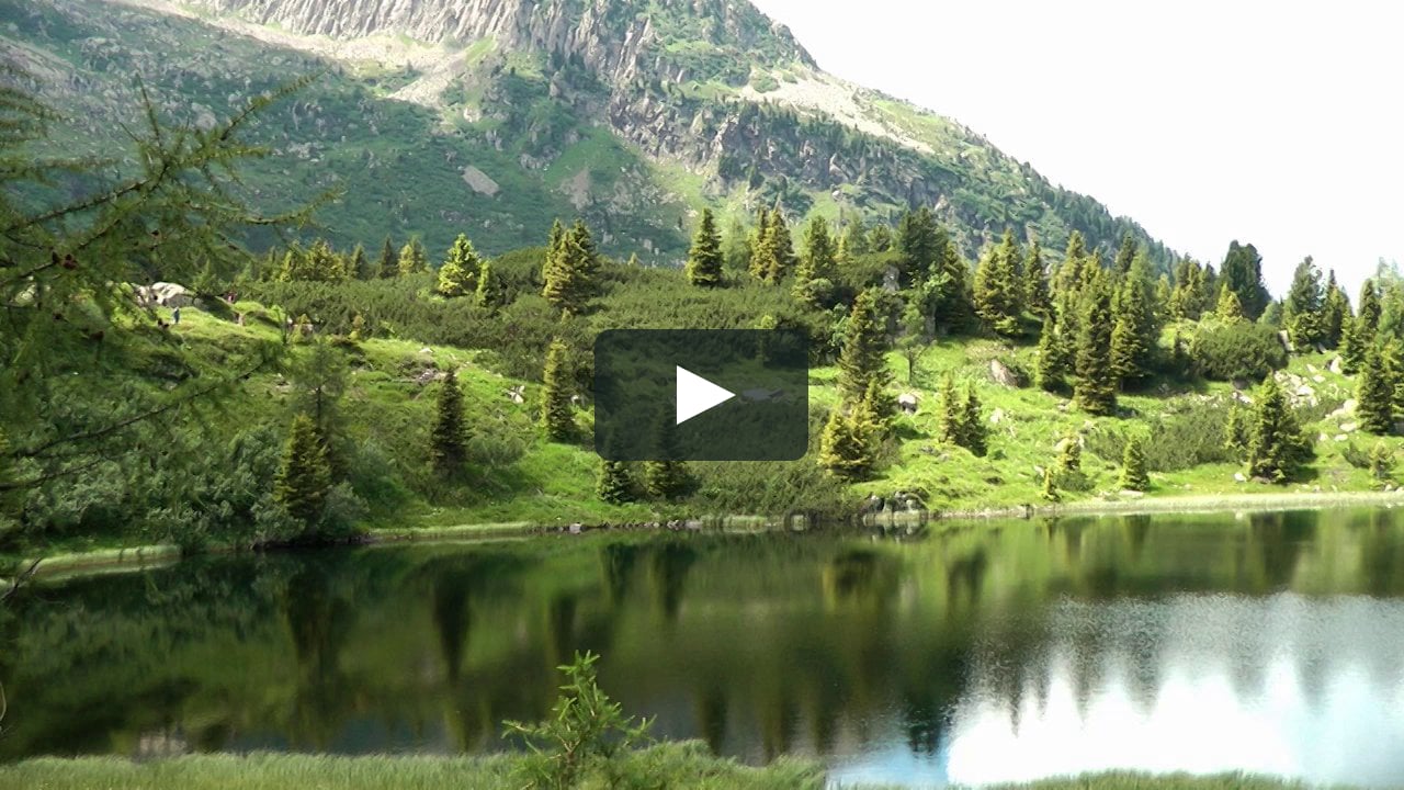 National Park Paneveggio - Colbricon Lakes - Dolomites on Vimeo
