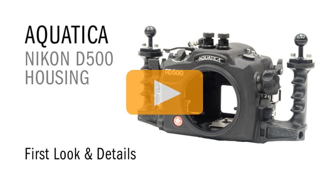 First Look at the Aquatica AD500 Underwater Housing for Nikon D500 DSLR Camera