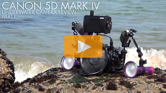 Canon 5D Mark IV Underwater Camera Review - Part I