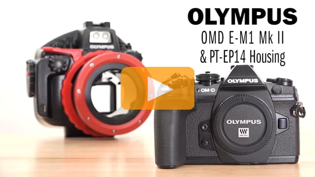 Introduction to the OMD E-M1 Mk II Camera & Underwater Housing