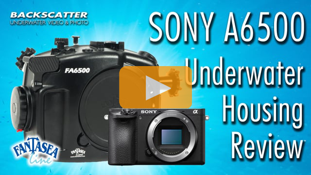 Sony A6500 Underwater Housing Review - Fantasea FA6500