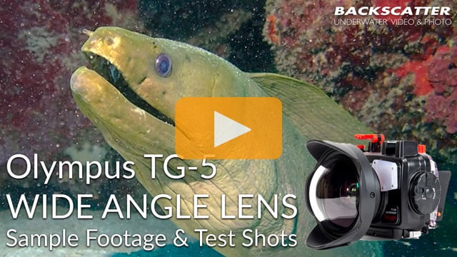 Olympus TG-5 Underwater Wide Angle Lens Review 2018 - Test Shots