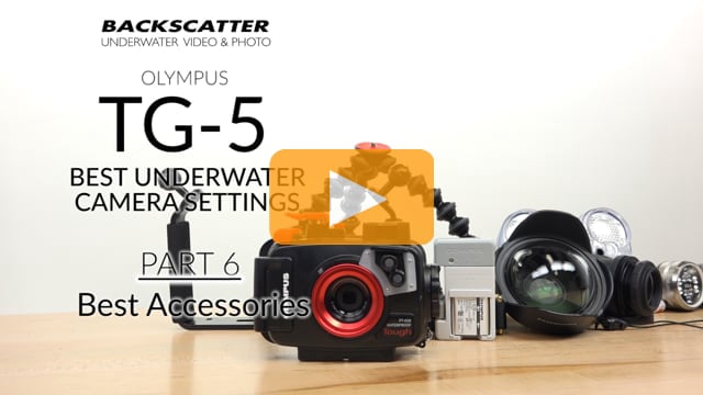 Part 6: Best Accessories - Olympus TG-5 Best Camera Settings for Underwater Photography