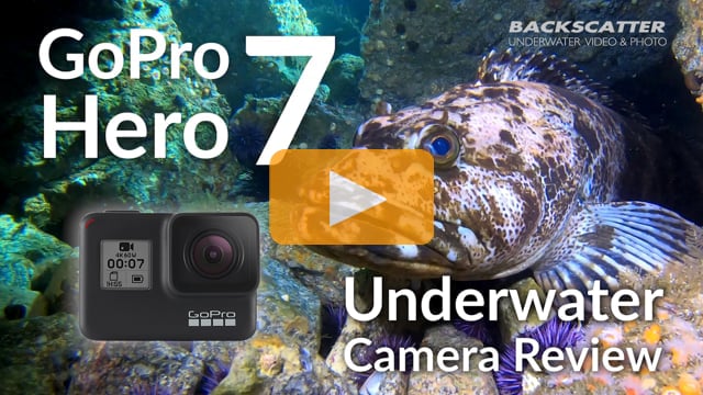 GoPro Hero 7 Underwater Camera Review