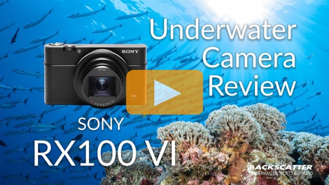 Sony RX100 VI Underwater Camera Review
