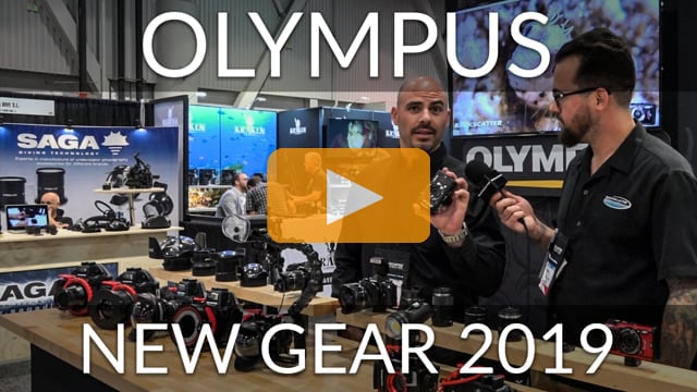 Olympus - New Gear 2019 - Camera and Housings Overview