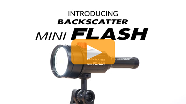 Backscatter Mini Flash & Optical Snoot | Best underwater macro strobe review