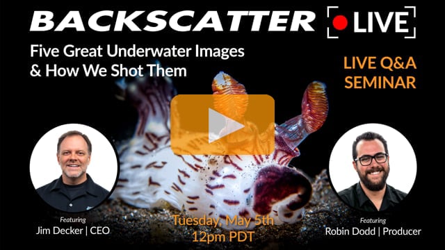 Five Great Underwater Images & How We Shot Them [Recorded LIVE] May 5, 2020