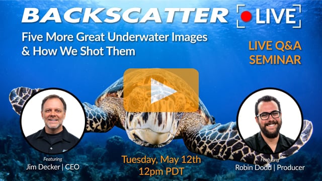 Five More Great Underwater Images & How We Shot Them [Recorded LIVE] May 12, 2020