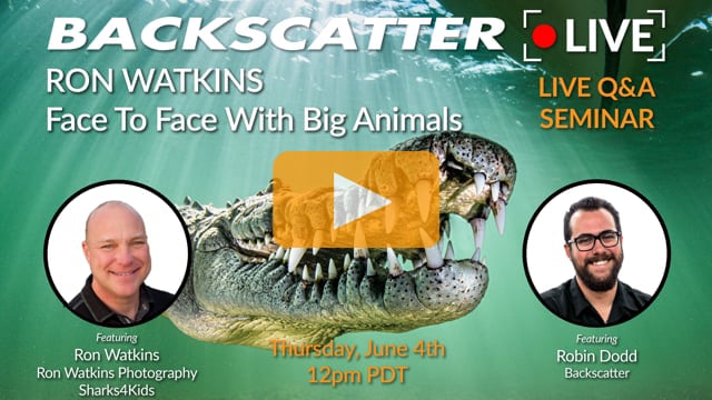 Face to Face with Big Animals featuring Ron Watkins [Recorded LIVE] June 4th 2020