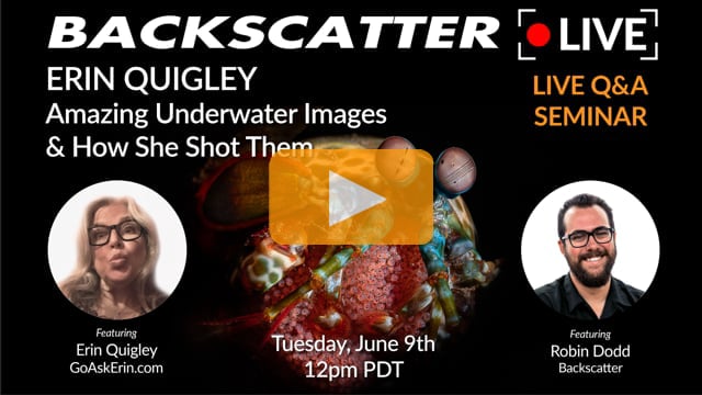 Erin Quigley's Amazing Underwater Images & How She Shot Them [Recorded LIVE] June 9 2020