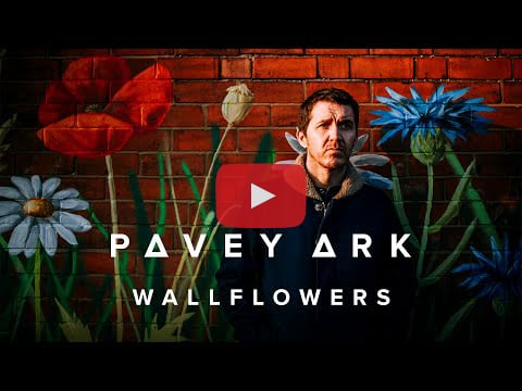 Pavey Ark Wallflowers video on YouTube