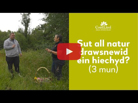 Youtube video entitled 'Sut all natur drawsnewid ein hiechyd?'
