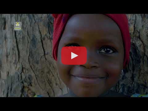Yellow fever vaccination campaign, Taraba State, Nigeria - a film by the EYE Strategy - YouTube