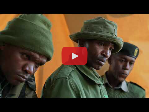 Hope for the Northern White Rhinos