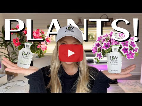 Plants Video - Janey - Dig, Plant, Water, Repeat