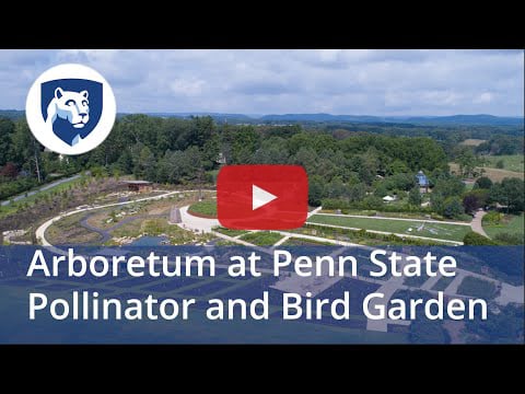 Video about the Arboretum's Pollinator and Bird Garden.