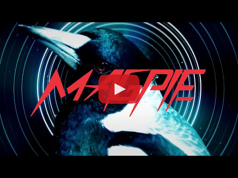 Feeder share new track “Magpie”