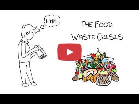 The Global Food Waste Crisis and the Danish Solution