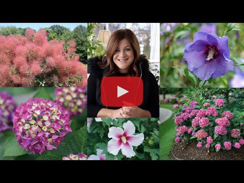 Garden Answer Shrub Video Pt 1