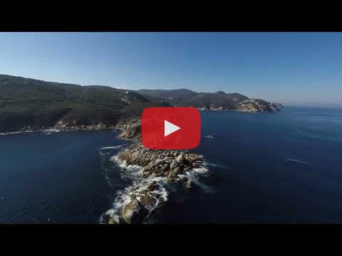 Through the Prom Sanctuary project, Wilsons Promontory National Park will become a 50,000-hectare climate change safe haven – where Victoria’s rich wildlife and habitats are freed from the pressures of introduced predators and pests.