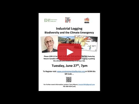 Poster for webinar: Industrial Logging, Biodiversity and the Climate Emergency