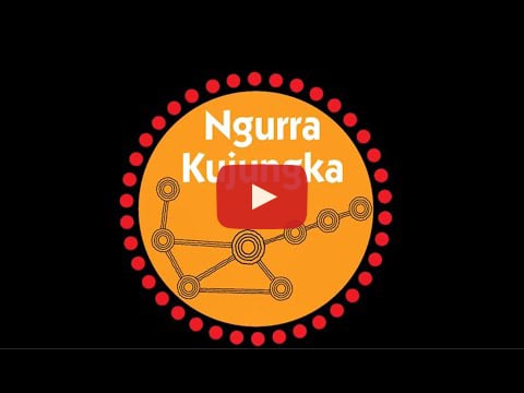 Ngurra Kujungka Koala Project