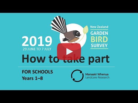 How to do the garden bird survey video