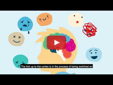 Animated vid about Brain Development