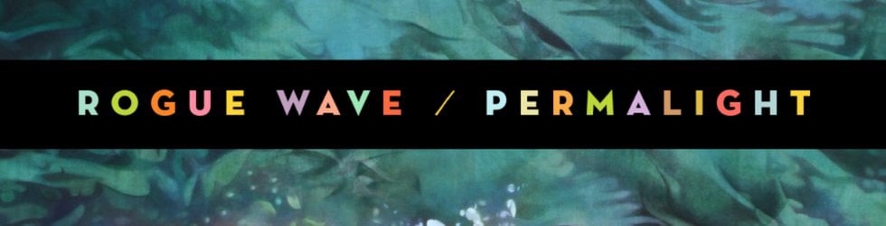 Rogue Wave Music Video Contest