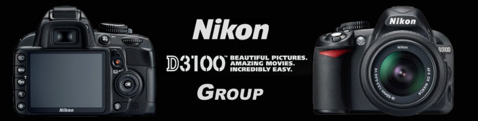 Nikon D3100
