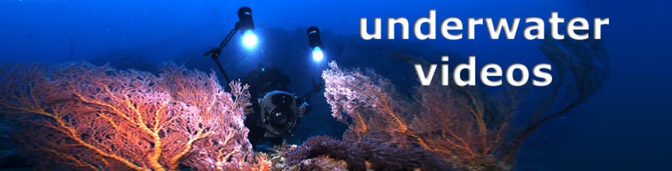 The Underwater Video Vimeo Group
