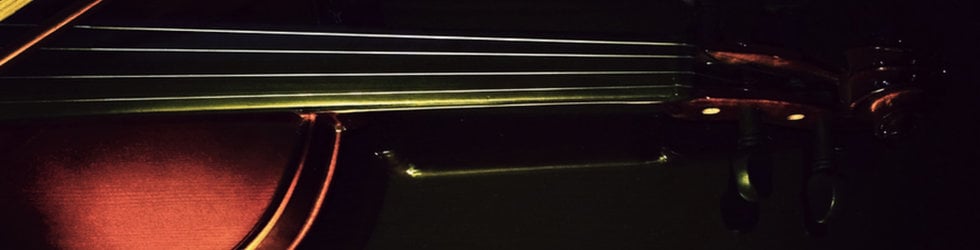 Violin