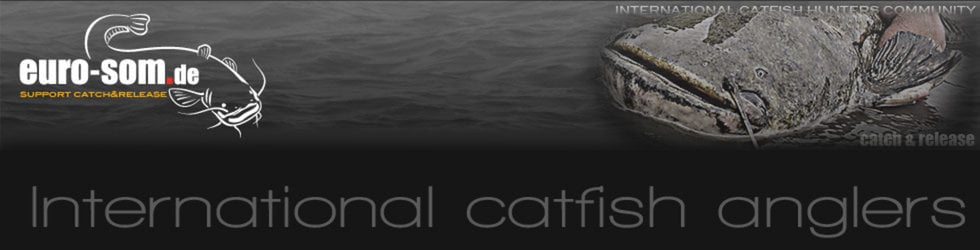 catfishing international