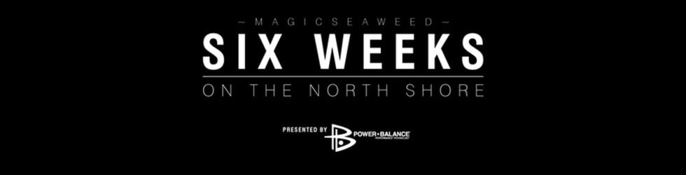 MSW Six Weeks North Shore