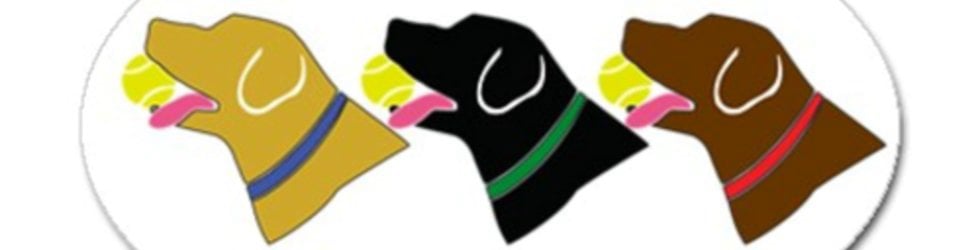 We Love LaBrAdOrS!!!!