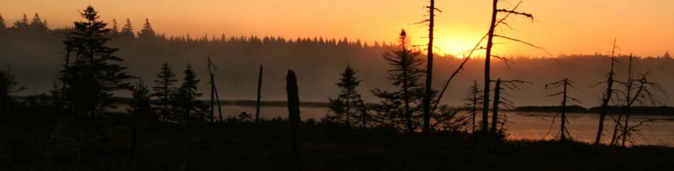 Nature Recordists